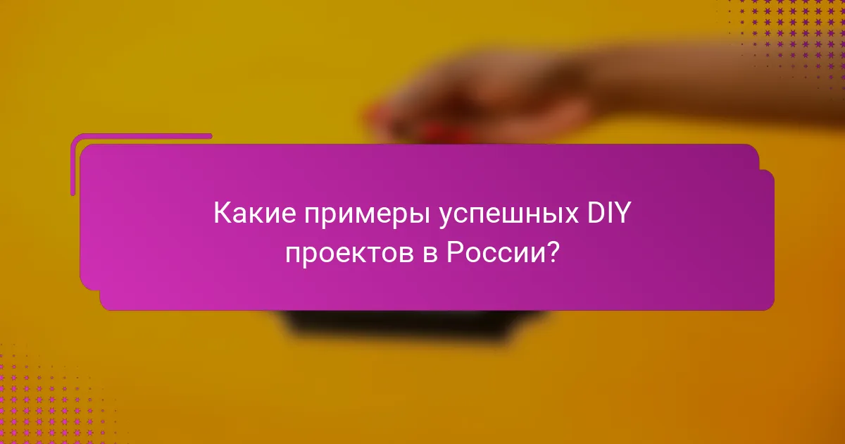 Какие примеры успешных DIY проектов в России?